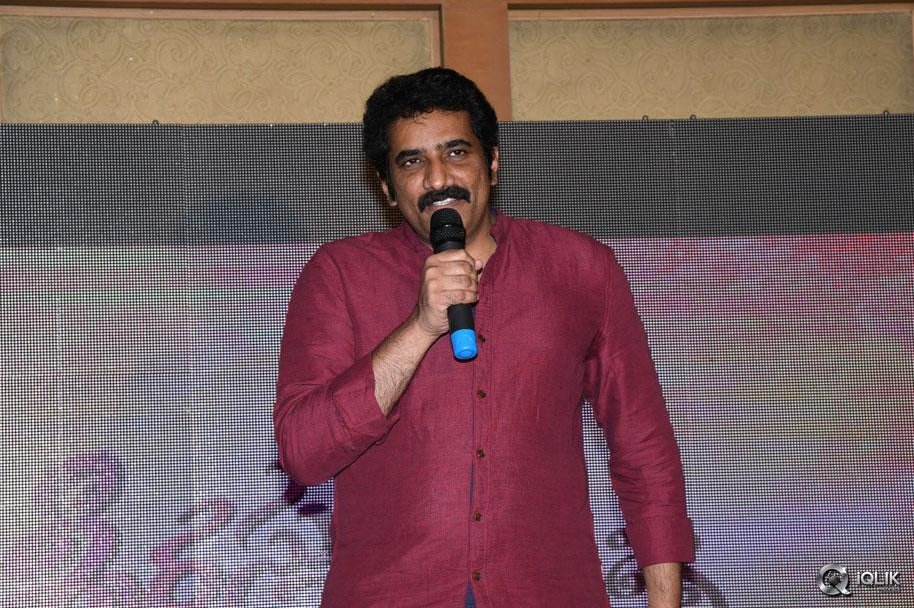 Srirastu-Subhamastu-Movie-Success-Meet